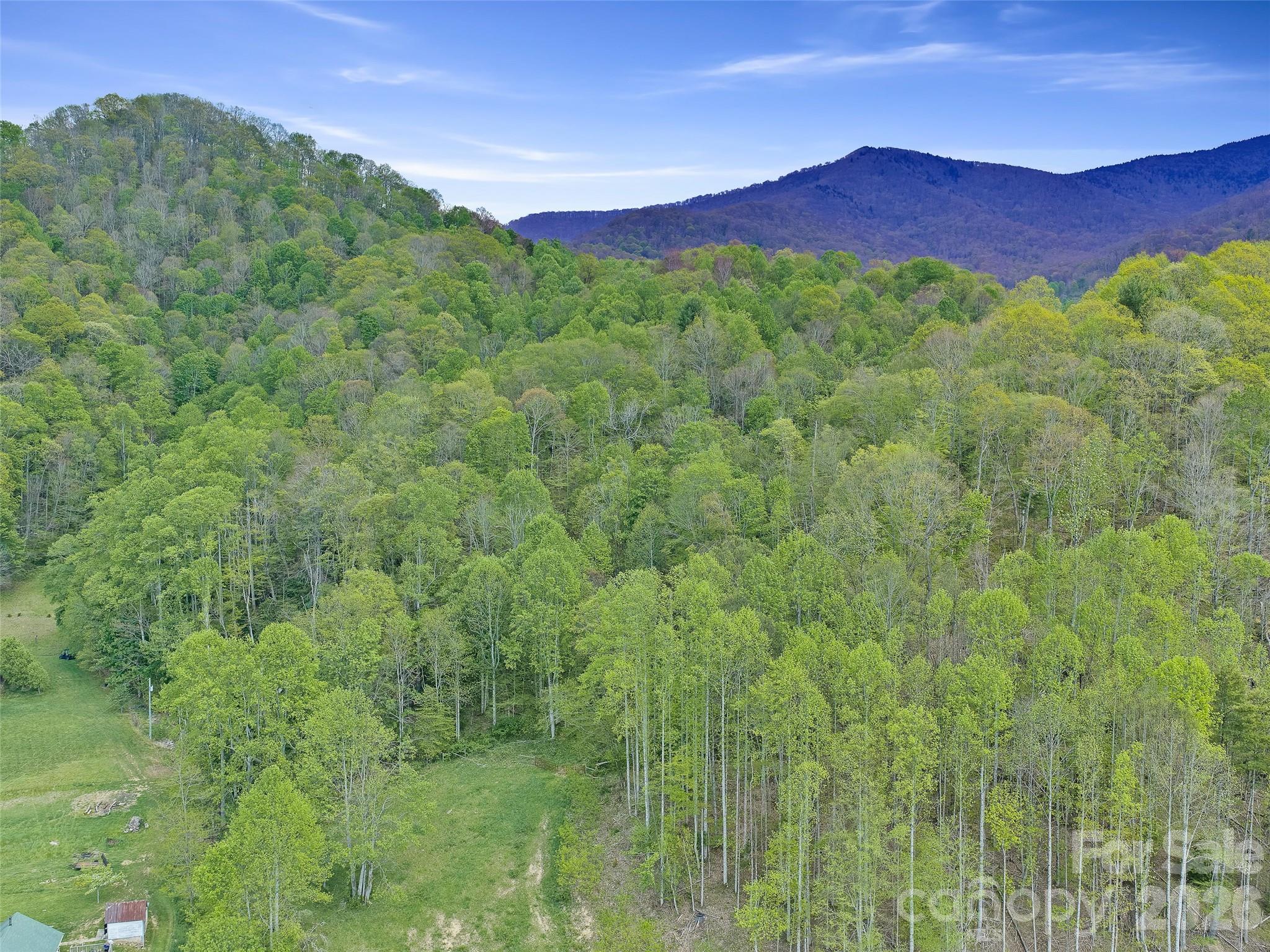0 Odoms Chapel Road Bakersville, NC 28705 - Photo 17 of 22