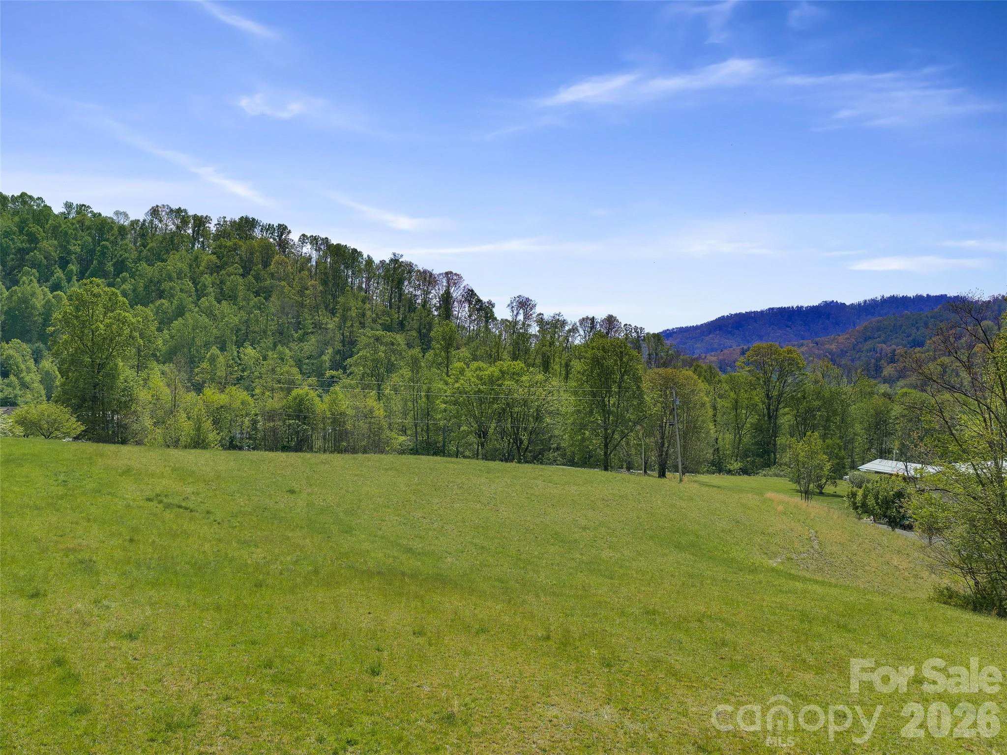 0 Odoms Chapel Road Bakersville, NC 28705 - Photo 19 of 22
