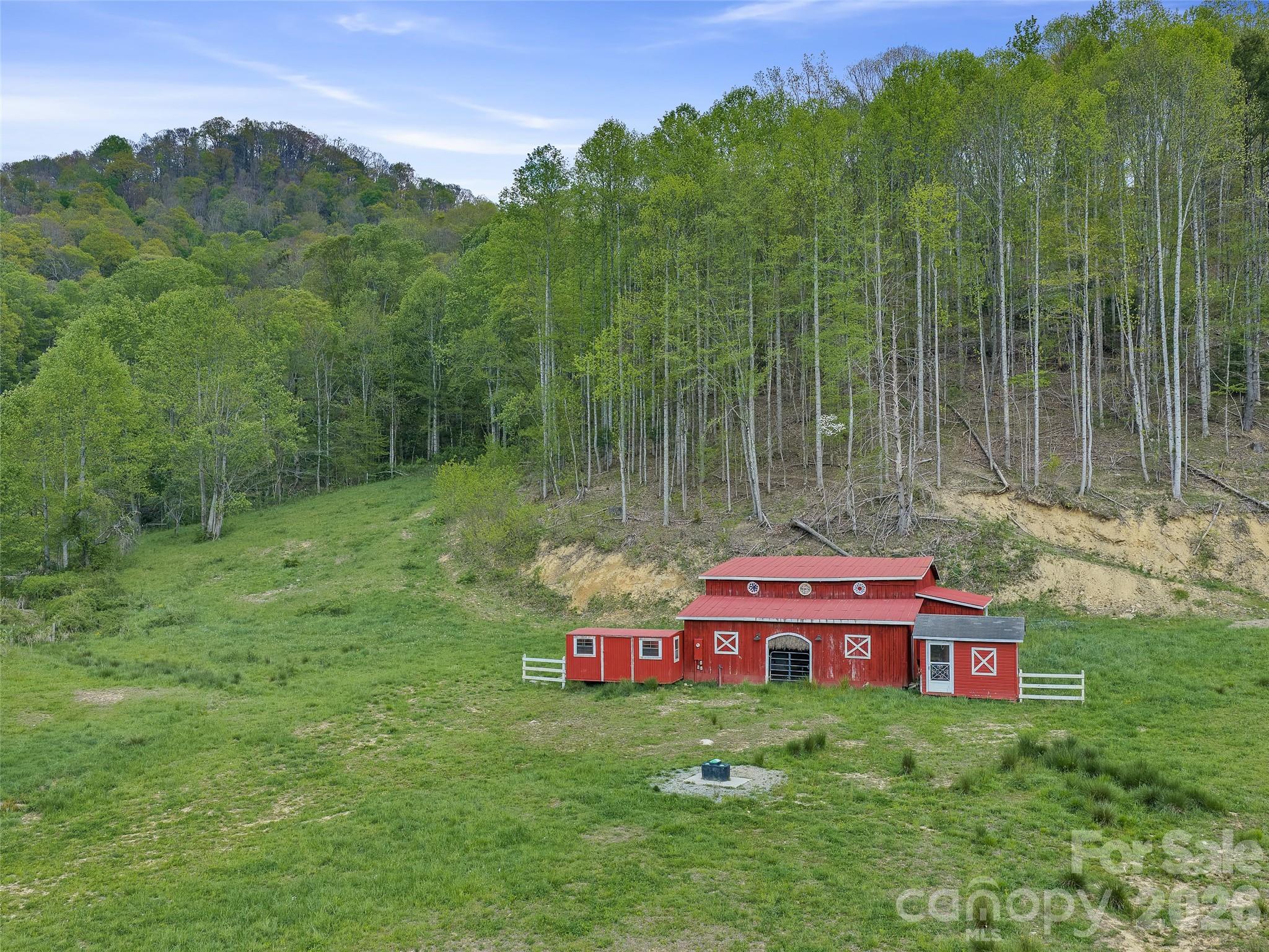 0 Odoms Chapel Road Bakersville, NC 28705 - Photo 4 of 22