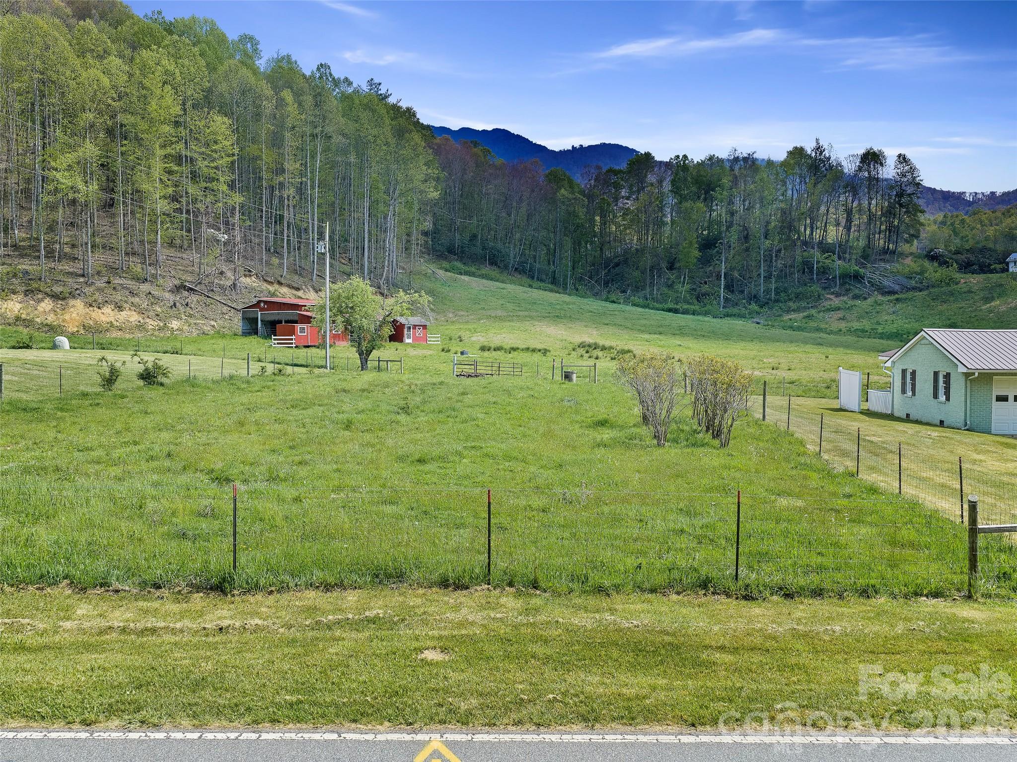 0 Odoms Chapel Road Bakersville, NC 28705 - Photo 8 of 22