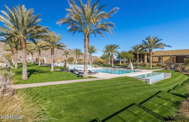 a view of a swimming pool with a lawn chairs under palm trees