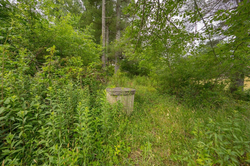 Tbd Keno Road Laurel Fork, VA 24352 - Photo 39 of 72 Gallery Image 39