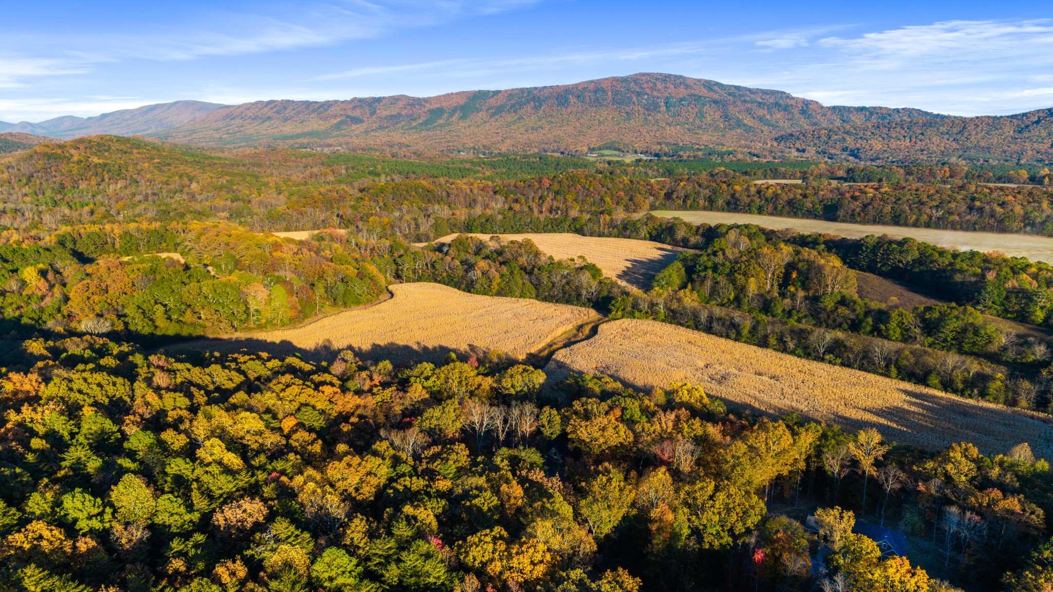 435 Hildabrand Road Ocoee, TN 37361 - Photo 49 of 69