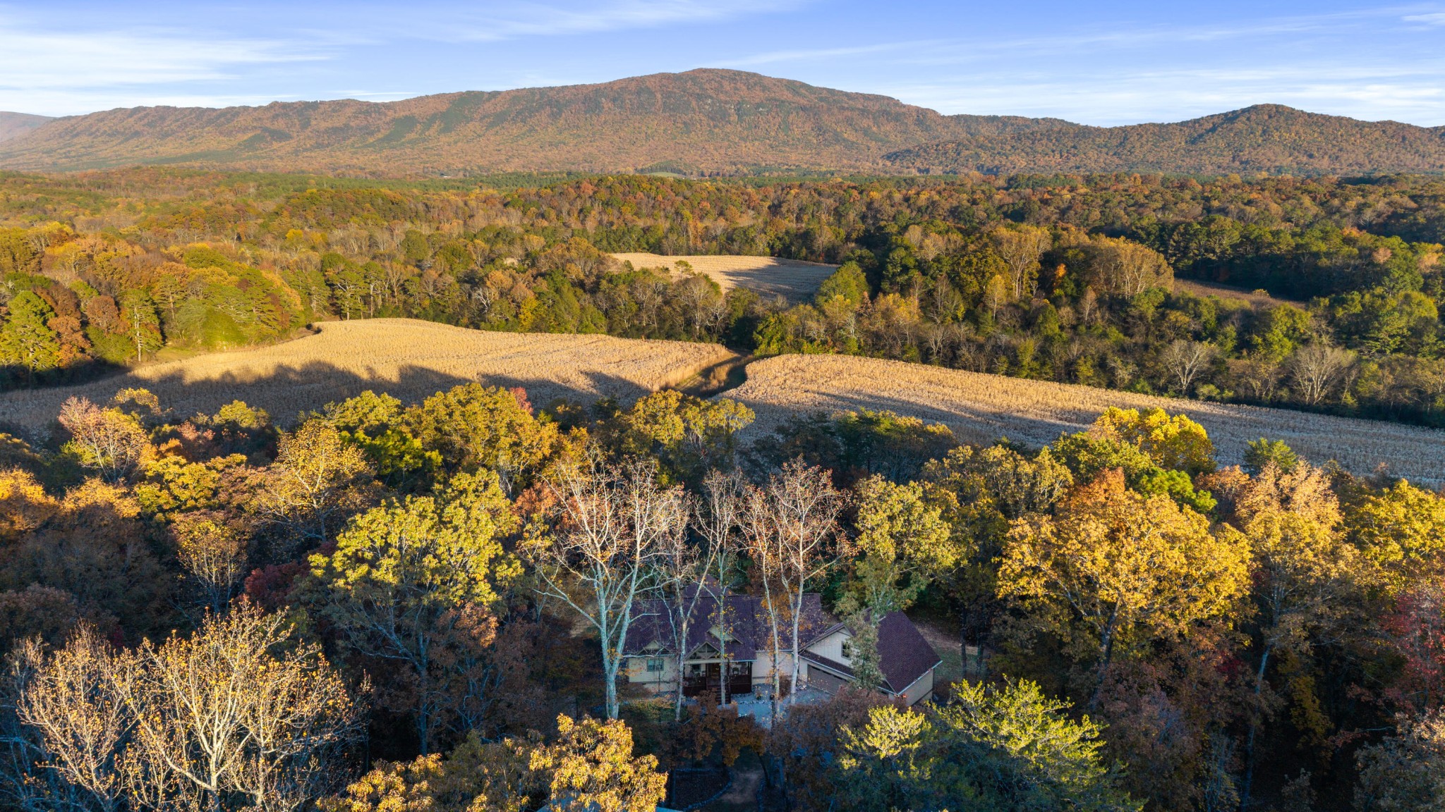 435 Hildabrand Road Ocoee, TN 37361 - Photo 59 of 69