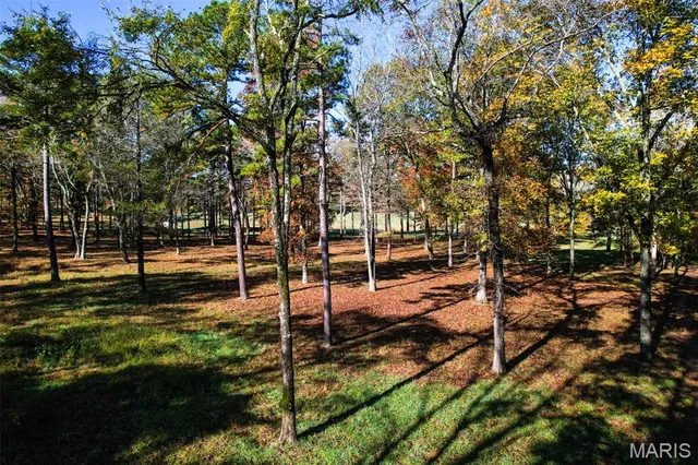 $1,210,000 | 800 Ic 20a, Belleview, MO 63623