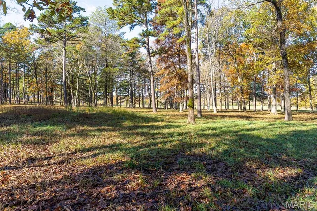 $1,210,000 | 800 Ic 20a, Belleview, MO 63623