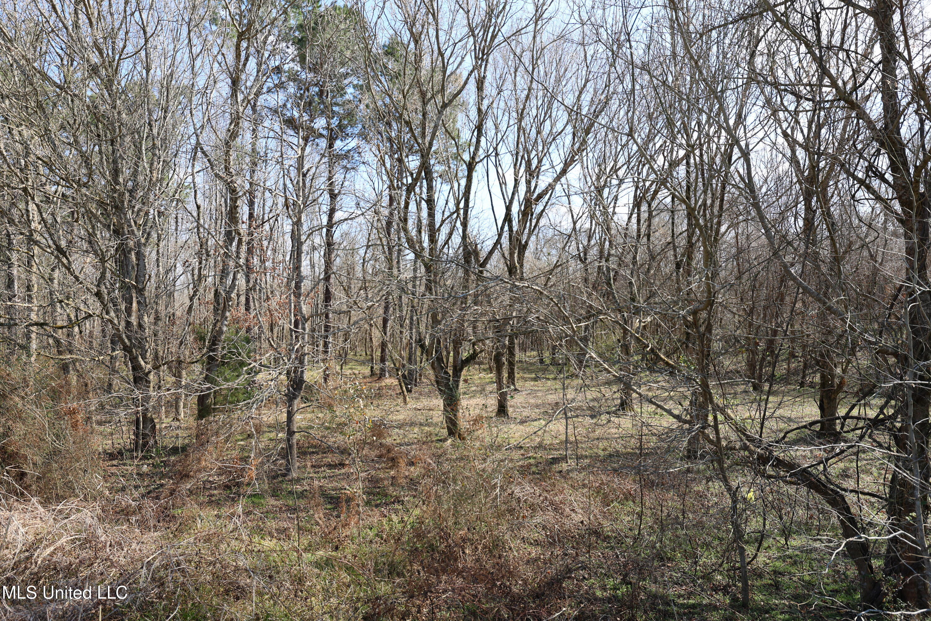 0 North N Highway Natchez, MS 39120 - Photo 11 of 13 FR6A5968