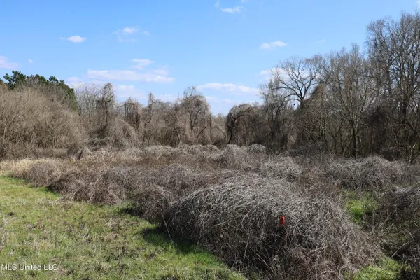 $49,500 | 0 North N Highway, Natchez, MS 39120