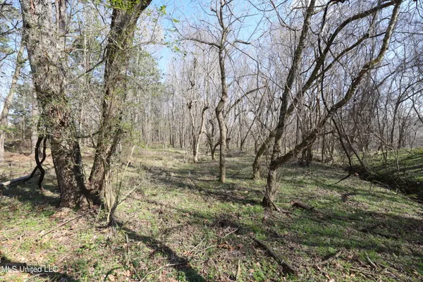 $49,500 | 0 North N Highway, Natchez, MS 39120