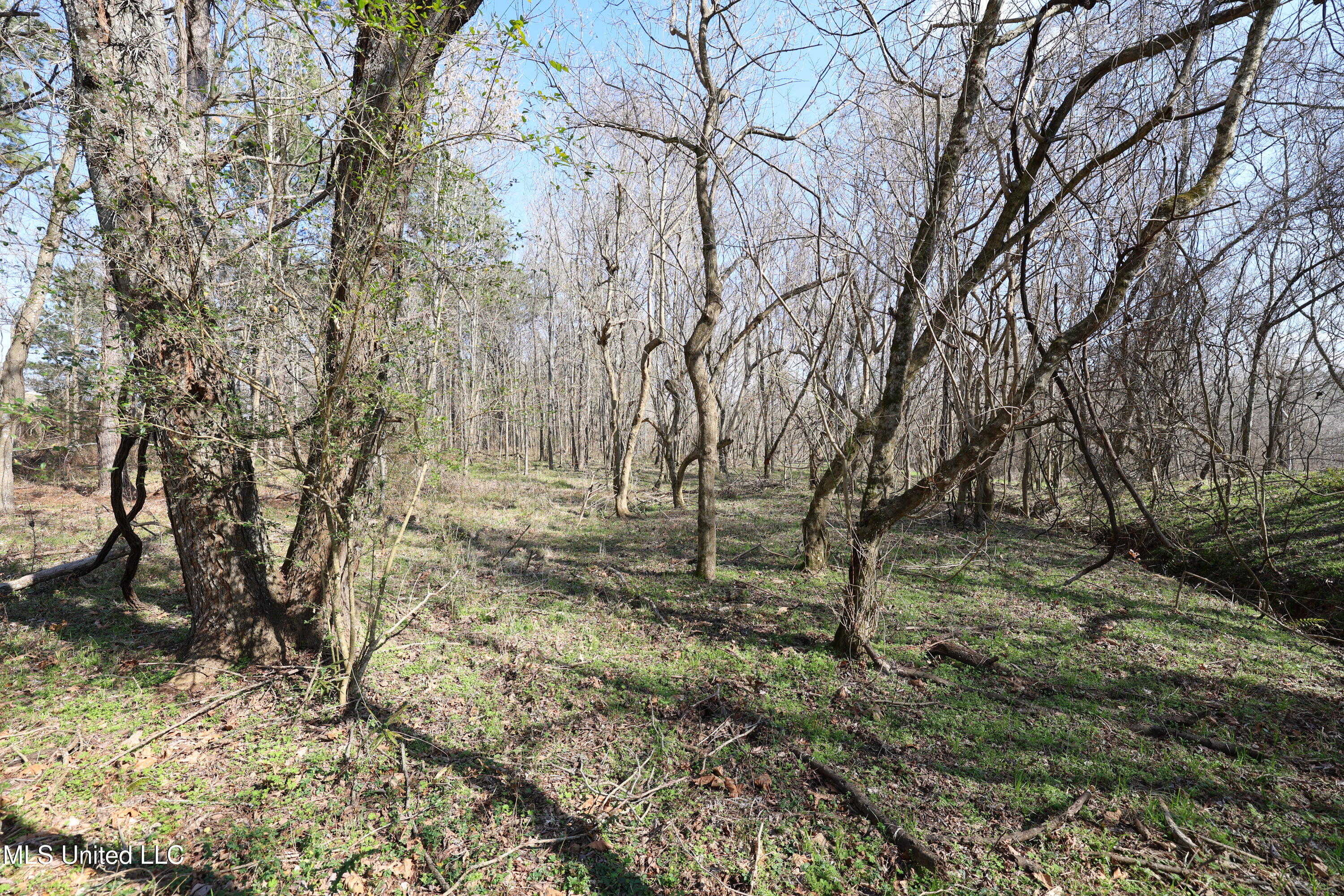0 North N Highway Natchez, MS 39120 - Photo 5 of 13 FR6A5956