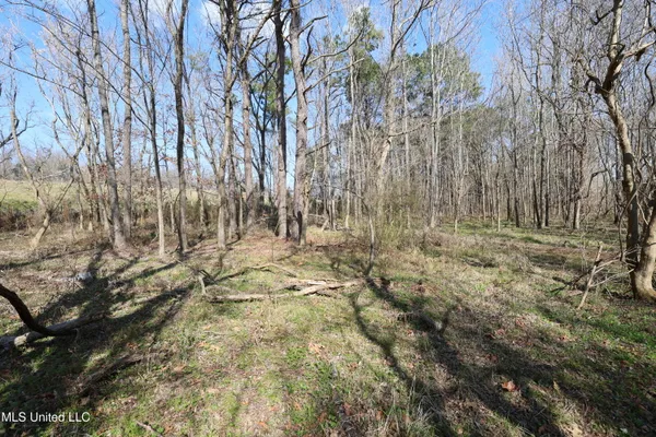 $49,500 | 0 North N Highway, Natchez, MS 39120