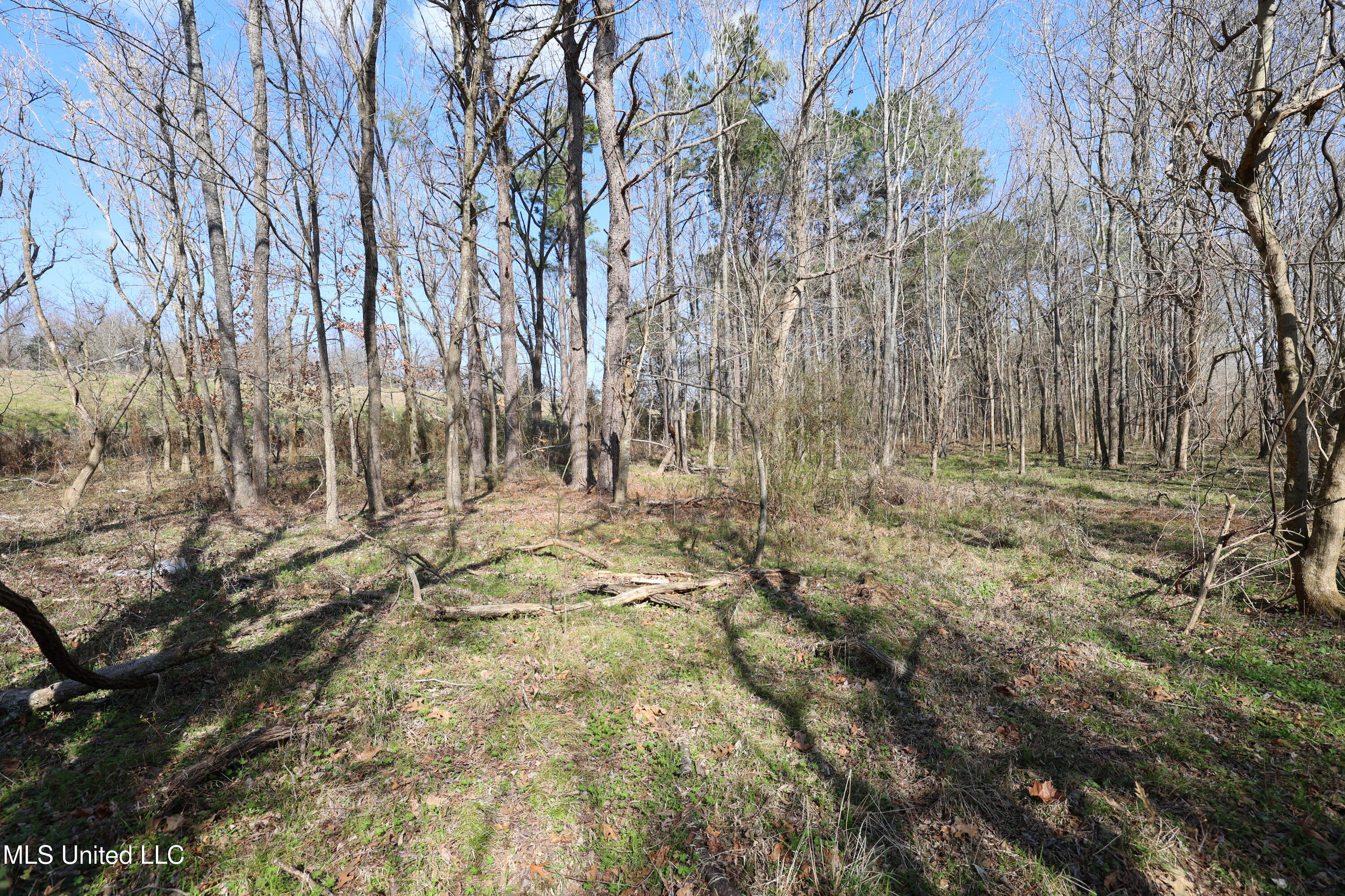 0 North N Highway Natchez, MS 39120 - Photo 6 of 13 FR6A5957