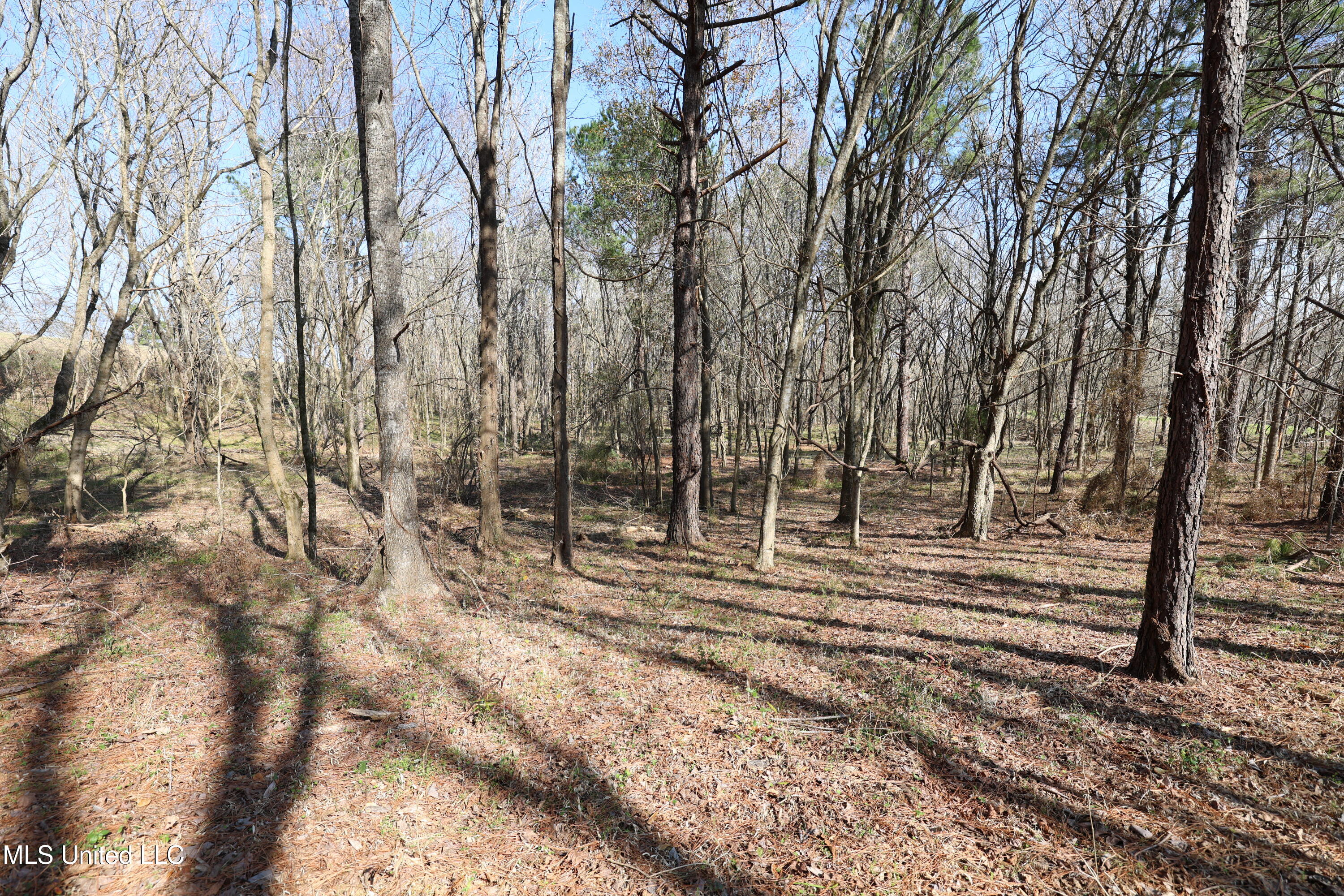 0 North N Highway Natchez, MS 39120 - Photo 7 of 13 FR6A5958