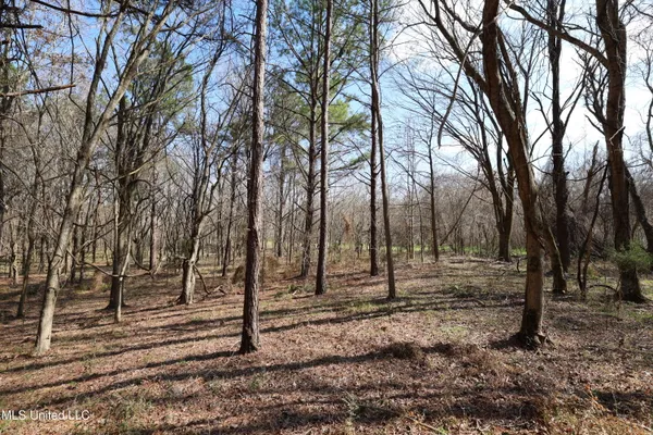$49,500 | 0 North N Highway, Natchez, MS 39120