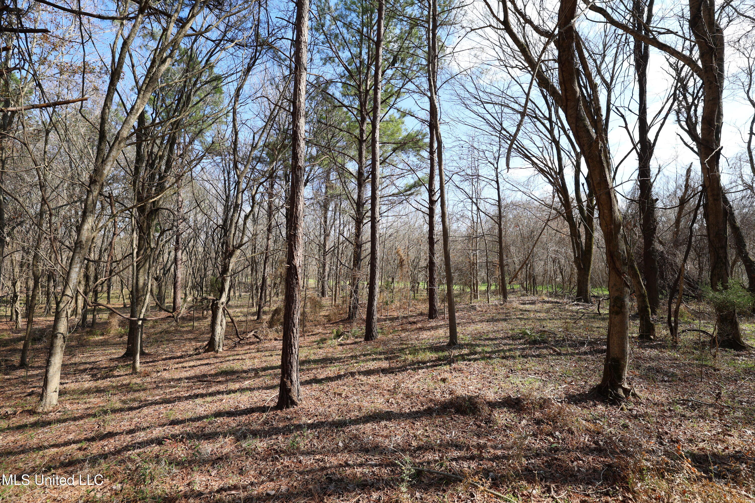0 North N Highway Natchez, MS 39120 - Photo 8 of 13 FR6A5961