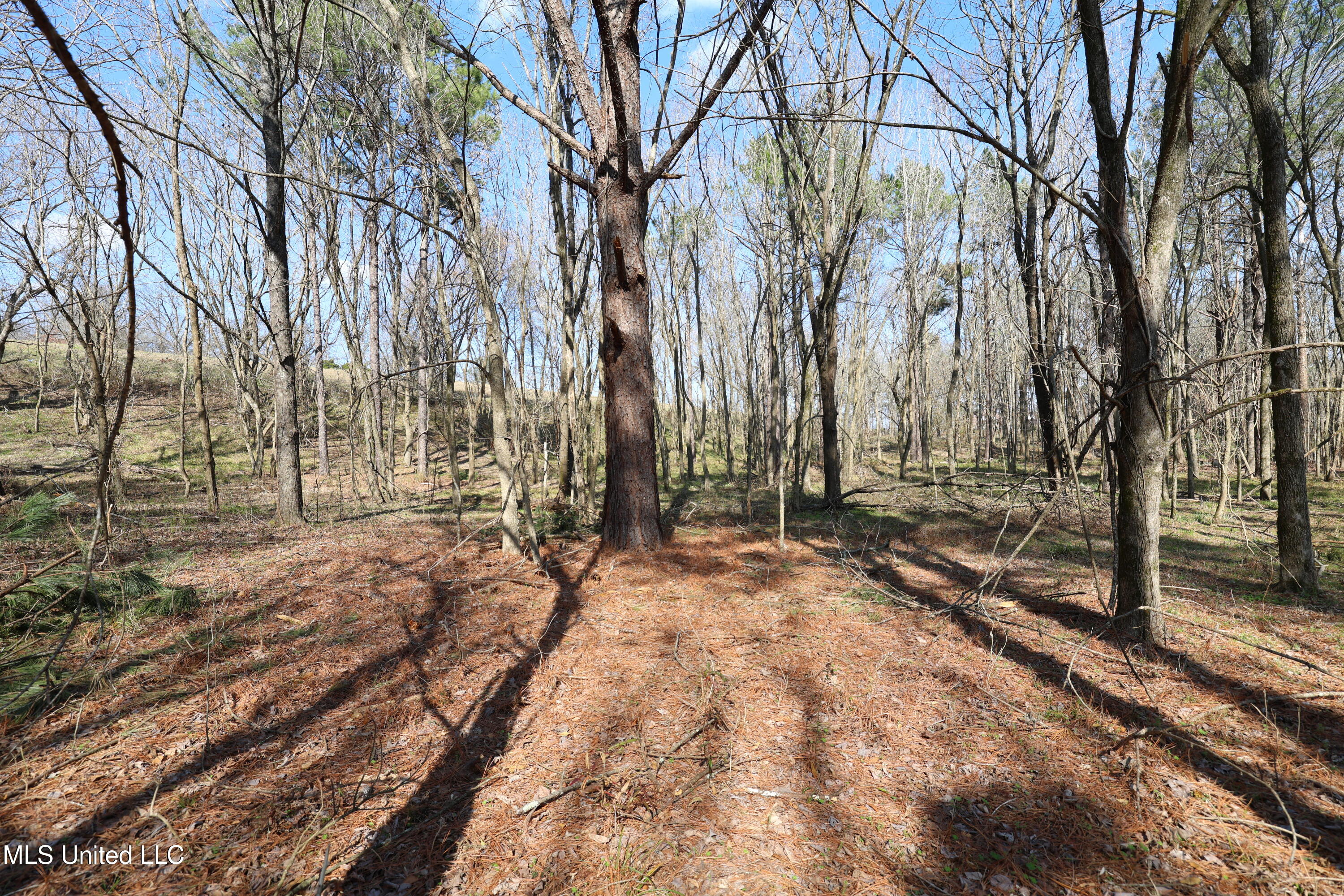 0 North N Highway Natchez, MS 39120 - Photo 9 of 13 FR6A5964