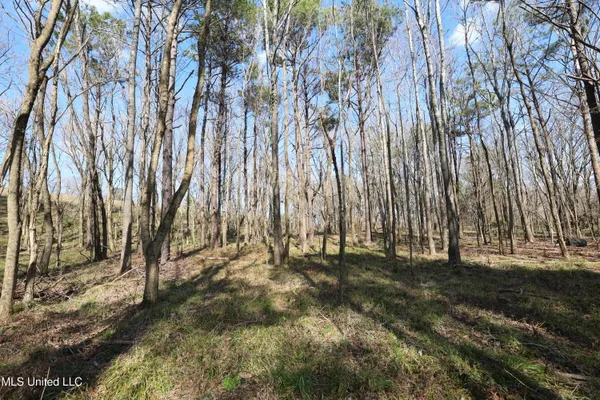 $49,500 | 0 North N Highway, Natchez, MS 39120