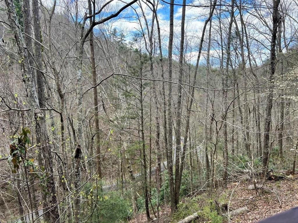 28 Wildcat Ridge Road Sevierville, TN 37862 - Photo 2 of 6