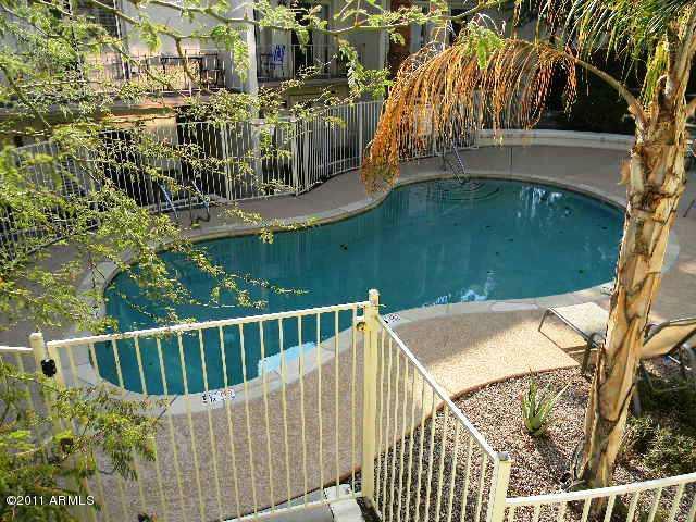 1016 East Osborn Road, Unit C Phoenix, AZ 85014 - Photo 11 of 11 Community Pool