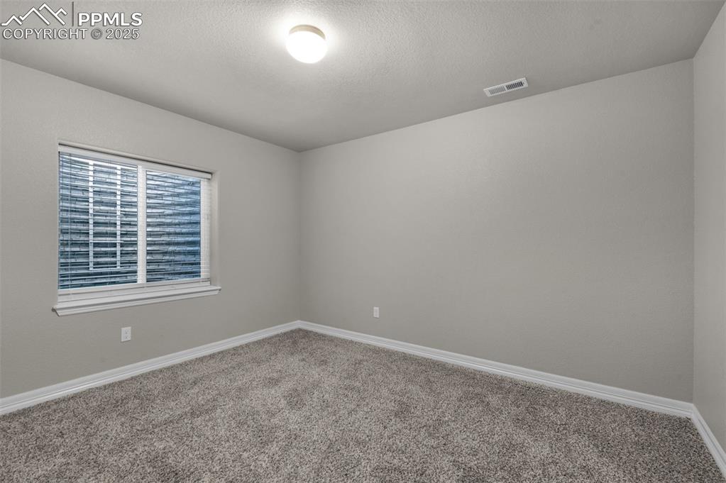 6131 Anders Ridge Lane Colorado Springs, CO 80927 - Photo 28 of 38 Basement bedroom