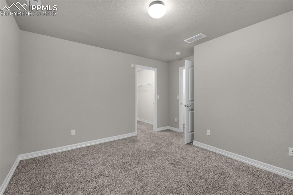 6131 Anders Ridge Lane Colorado Springs, CO 80927 - Photo 29 of 38 Basement bedroom with walk-in closet