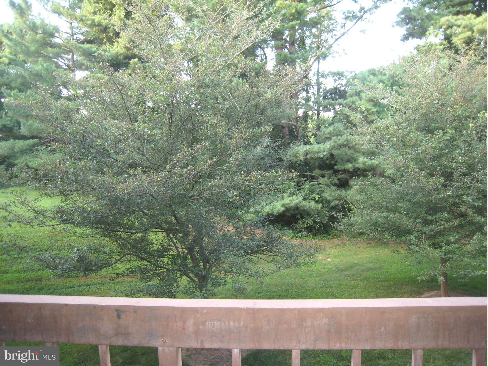 18610 Walkers Choice Road, Unit 4 Gaithersburg, MD 20886 - Photo 4 of 15 a view of a yard with a tree