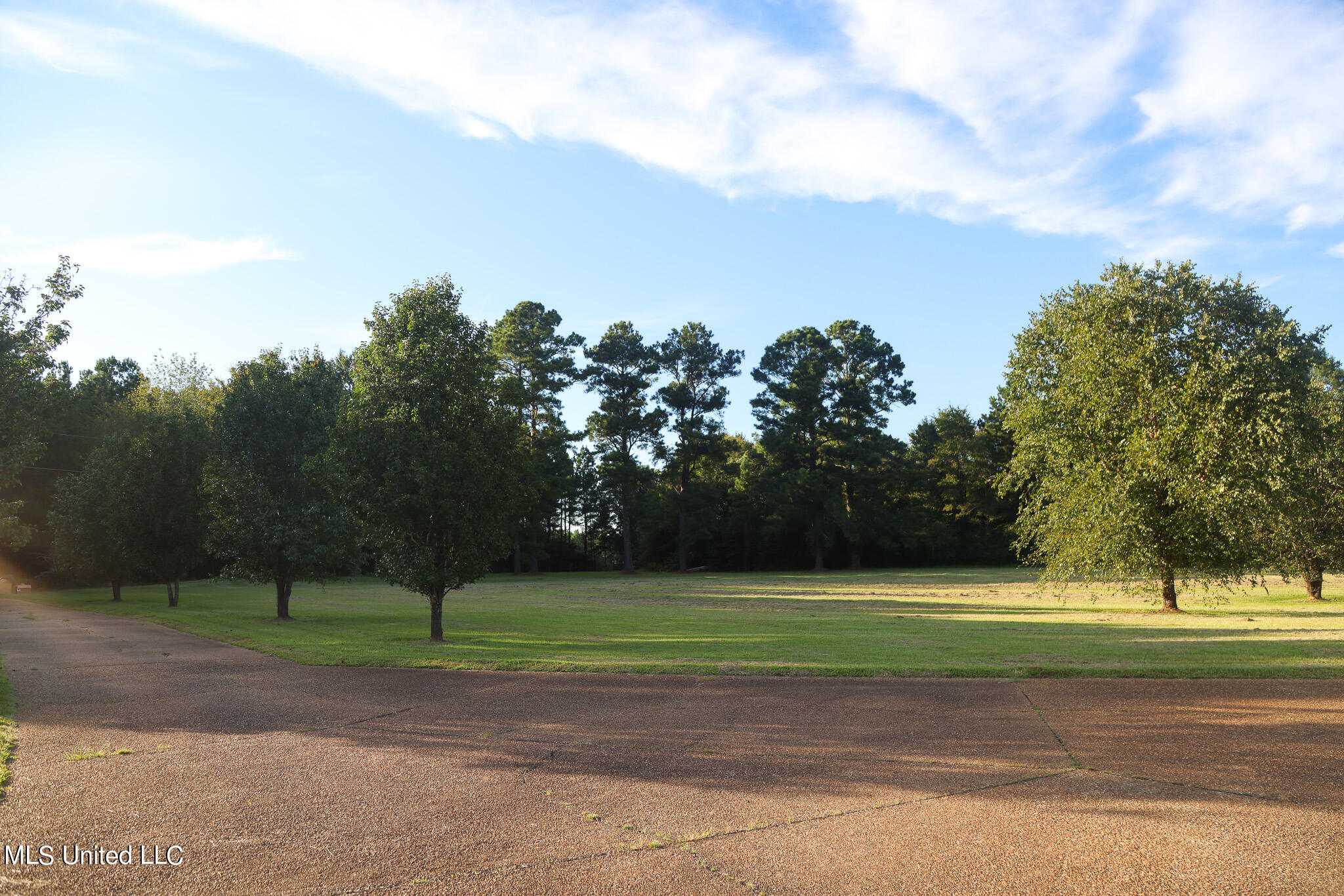 150 Quail Road Canton, MS 39046 - Photo 9 of 47 quailroad150-18