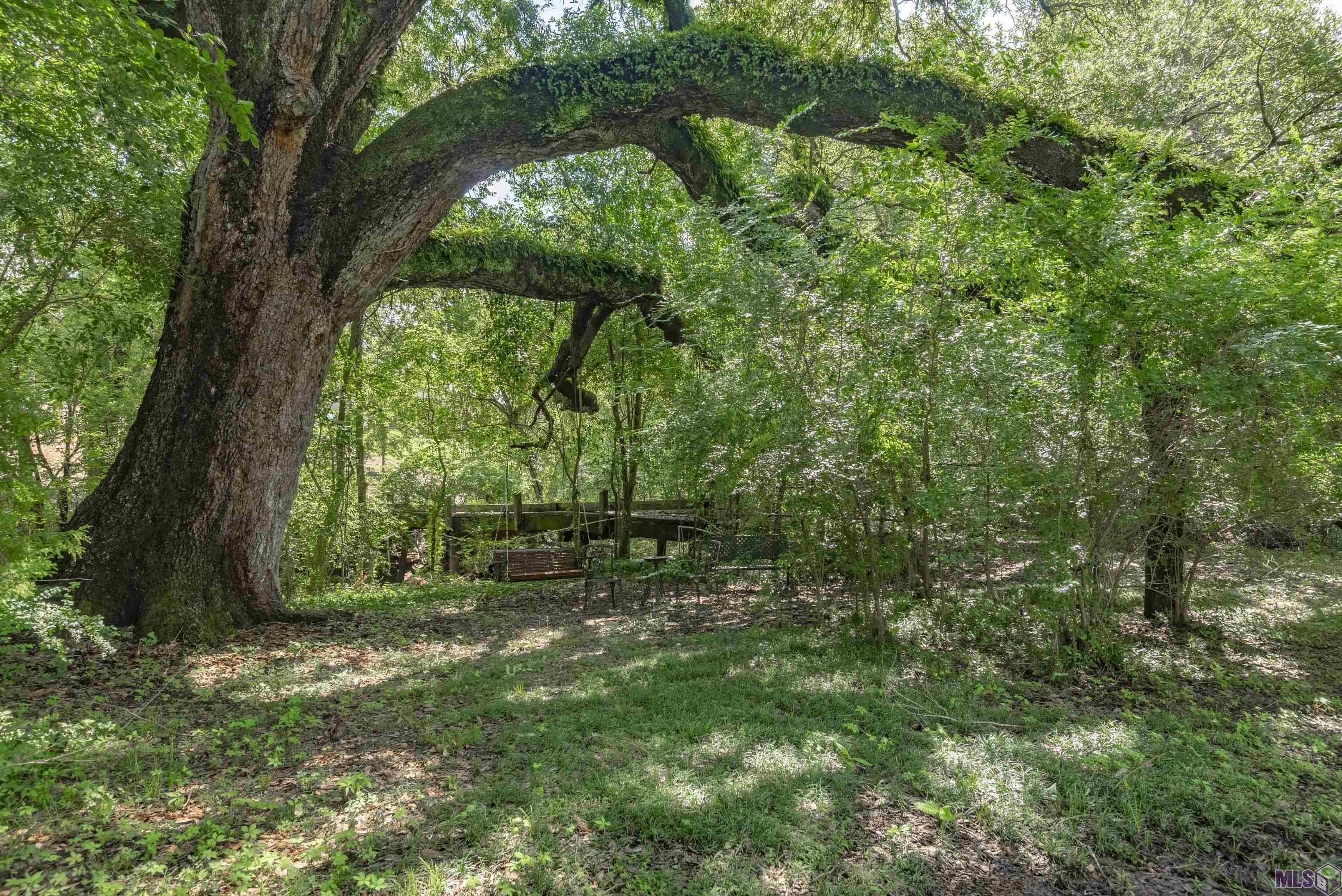8261 Valencia Court Baton Rouge, LA 70820 - Photo 28 of 30