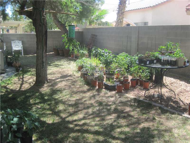 1085 Fan Coral Avenue Las Vegas, NV 89123 - Photo 11 of 11 Property Photo.