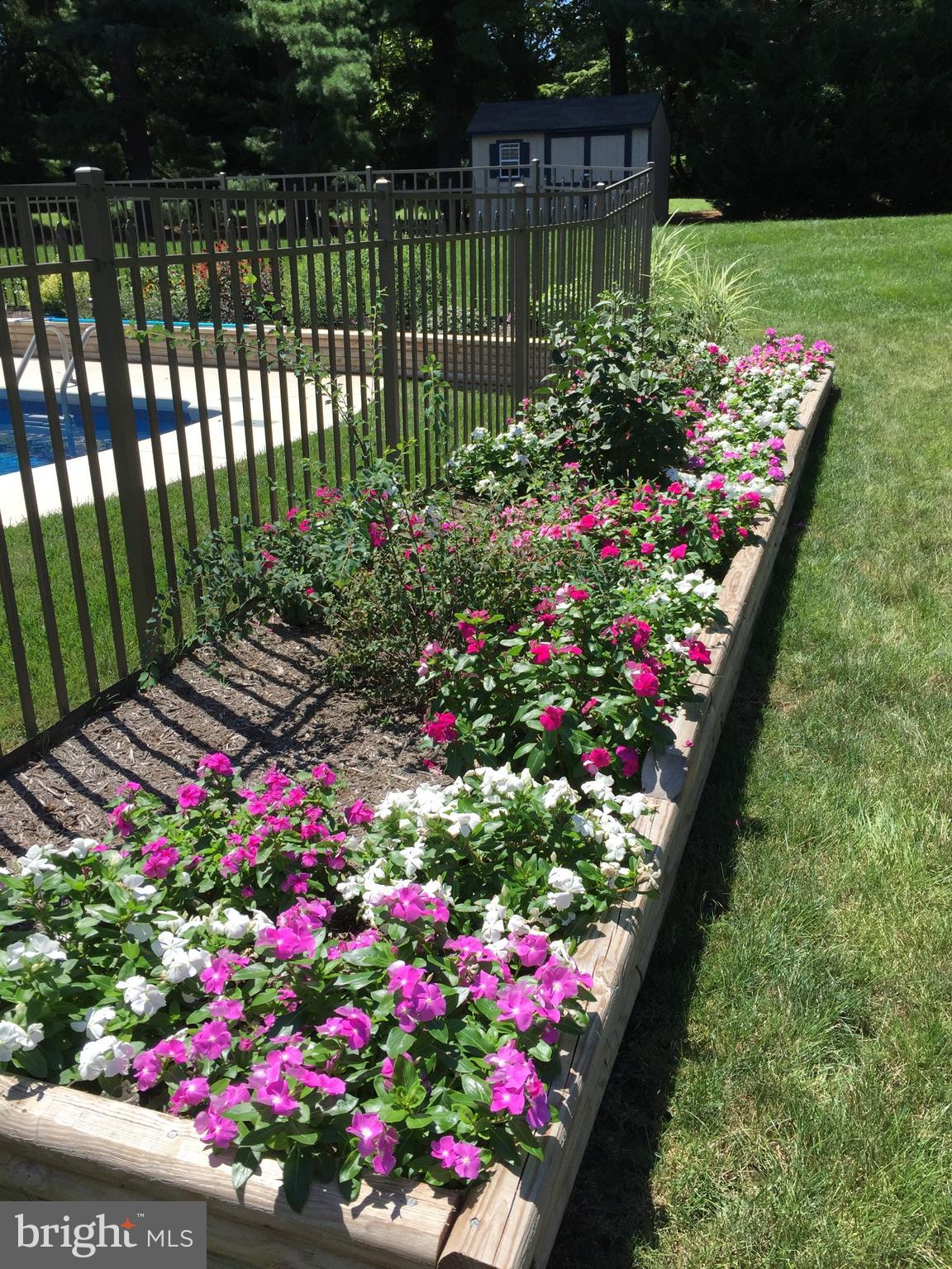 318 Portland Place Lititz, PA 17543 - Photo 11 of 39 a view of a potted flower in a yard with swimming pool