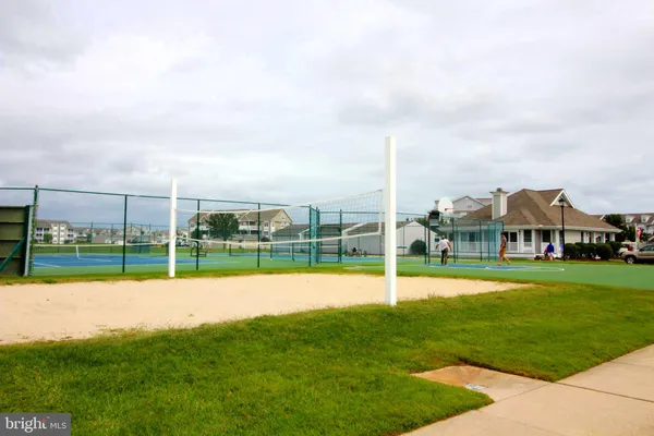 a view of a park with plants and trees