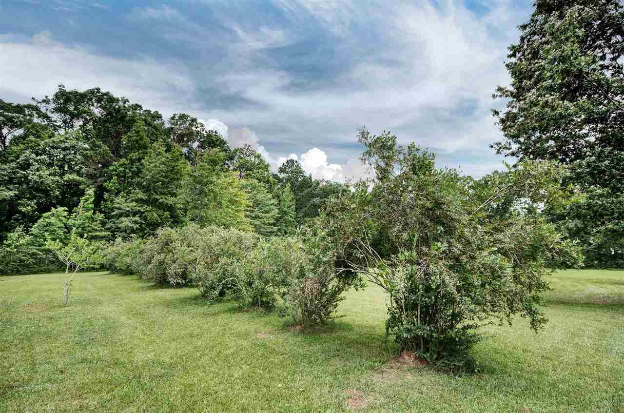 929 Pinola Braxton Road Braxton, MS 39044 - Photo 27 of 32 Photo 27
