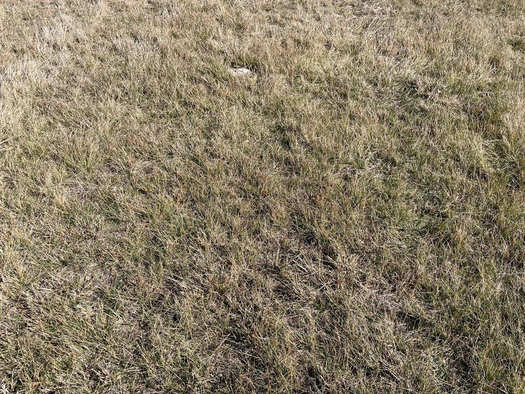 2 Miller Road Valley Mills, TX 76689 - Photo 6 of 15 a close up of a wall