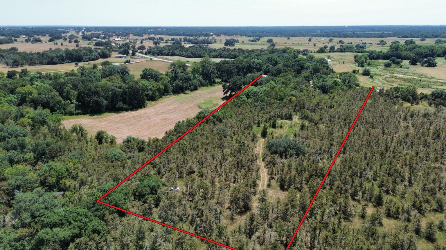 Fm Fm 141st Dime Box, TX 77853 - Photo 4 of 5 Mature woodlands and open clearings define this expansive rural acreage under wide open skies.