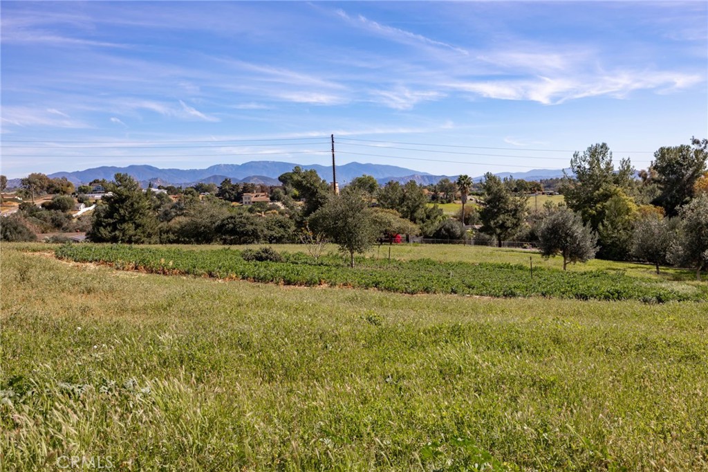 1061 Ridge Heights Drive Fallbrook, CA 92028 - Photo 38 of 64