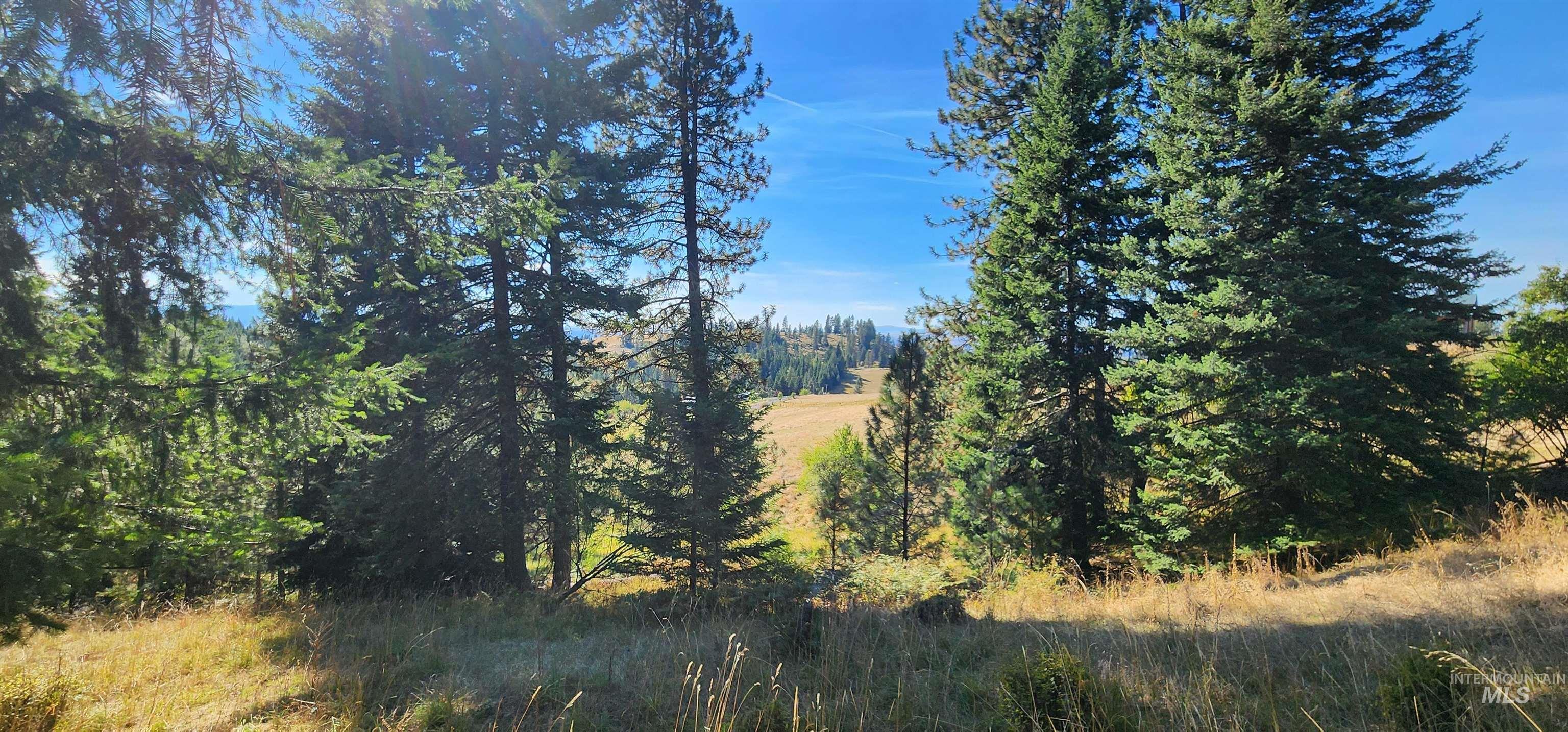 Tbd Red Fir Road Kooskia, ID 83539 - Photo 16 of 34