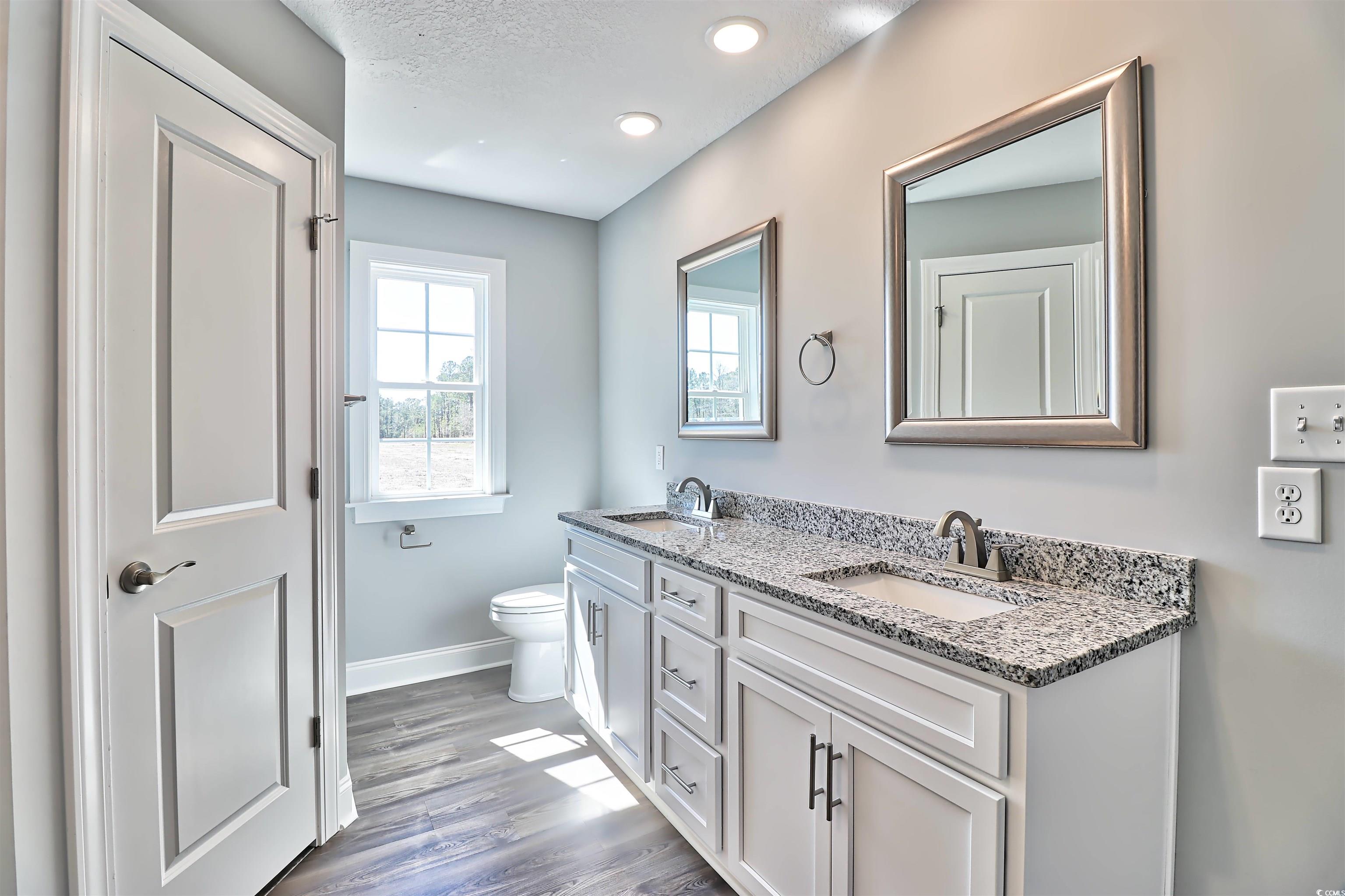 386 William Nobles Road Aynor, SC 29511 - Photo 18 of 30