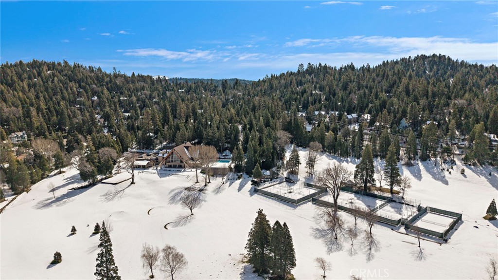 180 Grass Valley Road, Unit 20 Lake Arrowhead, CA 92352 - Photo 56 of 67