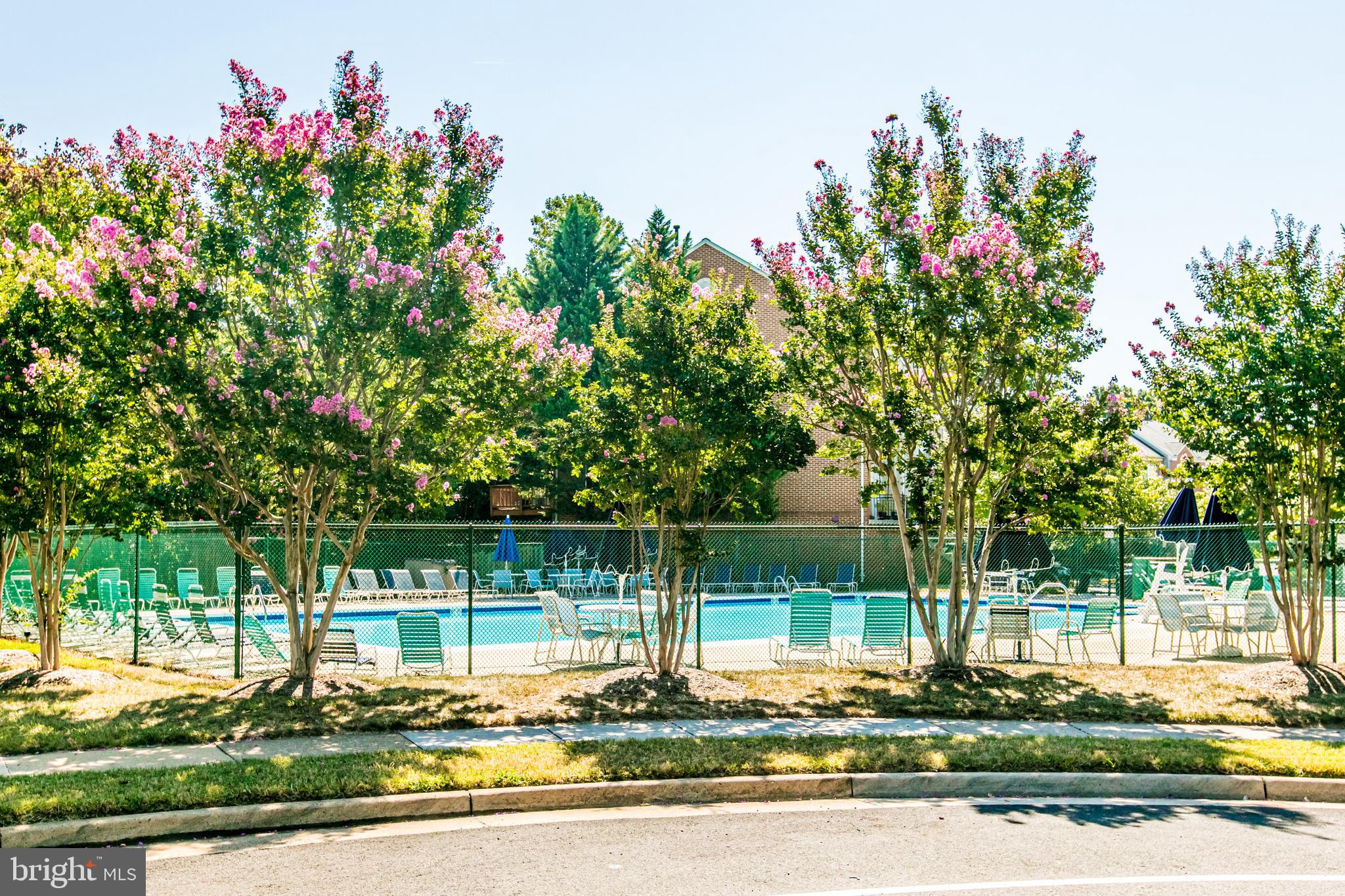 6337 Simmer Circle Springfield, VA 22150 - Photo 46 of 50 a garden view with fountain