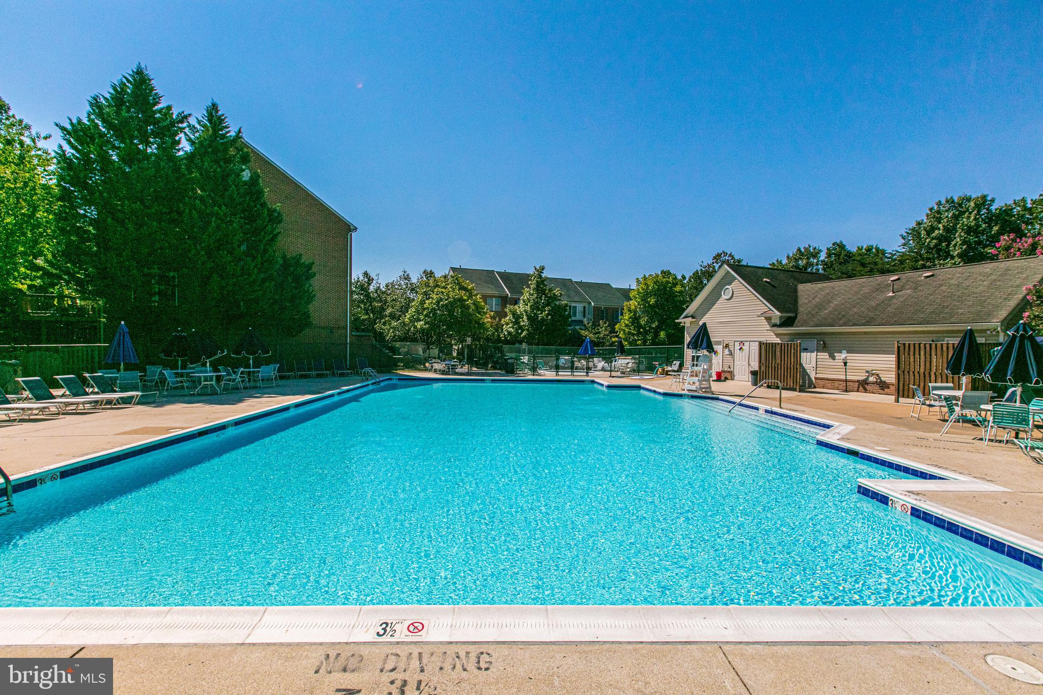 6337 Simmer Circle Springfield, VA 22150 - Photo 47 of 50 a view of swimming pool with lawn chairs and plants
