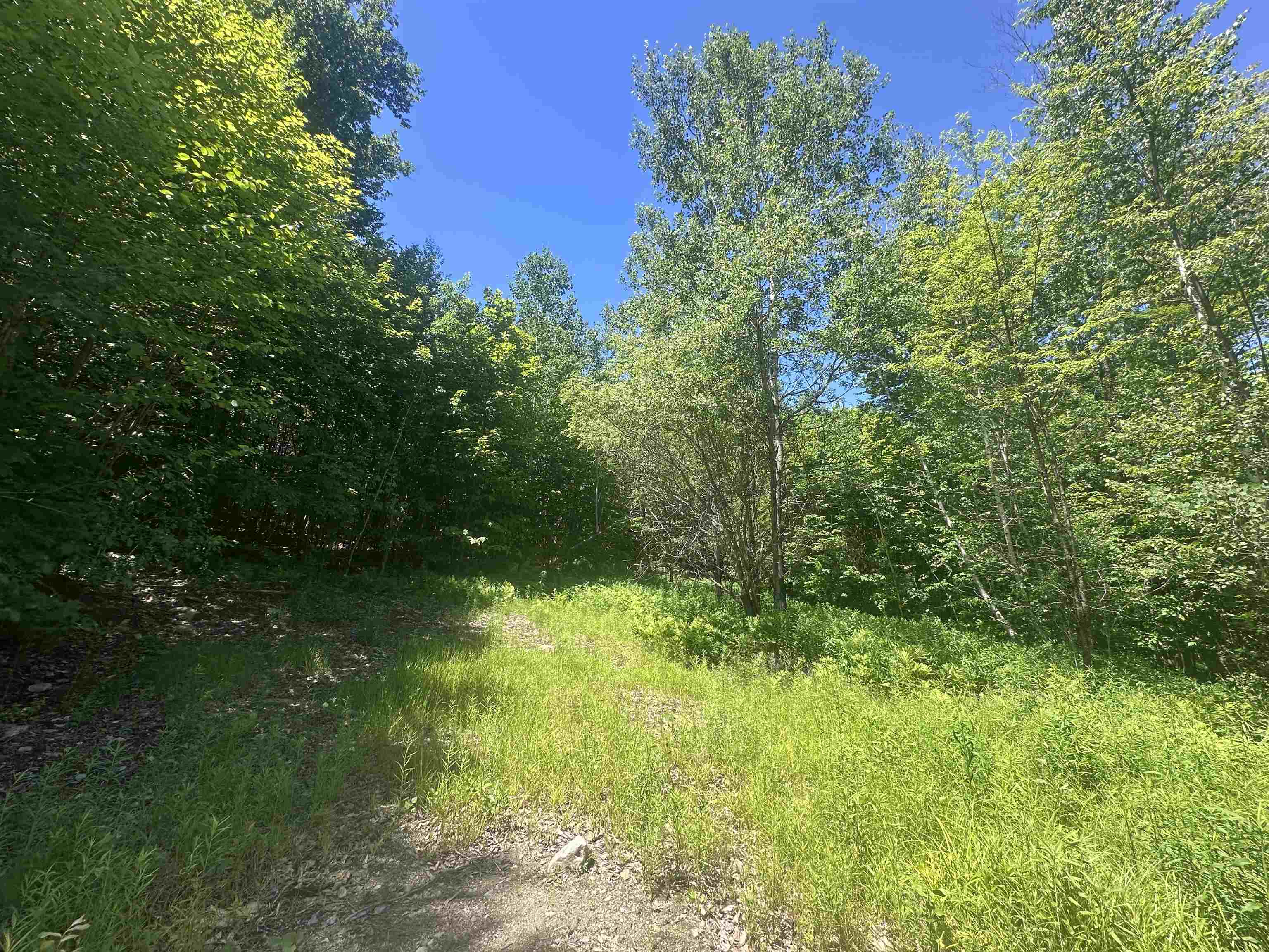 0 Stratton Gardens Road, Unit LOT #23 Winhall, VT 05340 - Photo 11 of 12