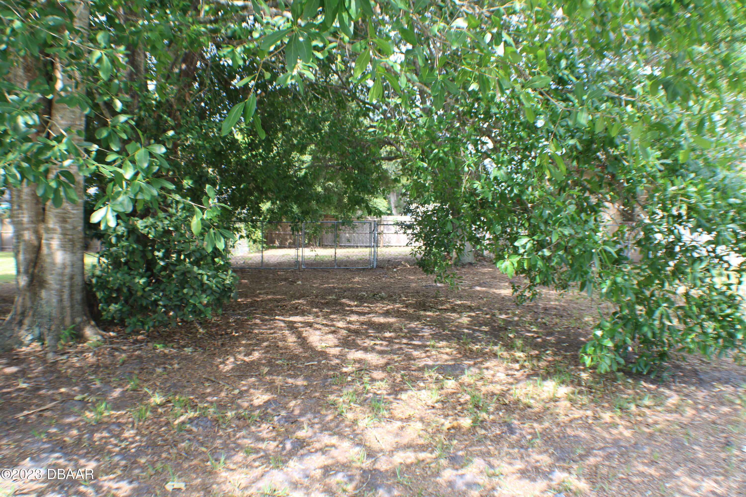602 Flagler Avenue Edgewater, FL 32132 - Photo 5 of 15 a view of a tree with some trees in the background