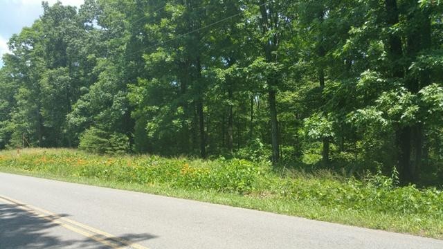 0 Mt Olive Road Whitwell, TN 37397 - Photo 5 of 6 Gallery Image 5