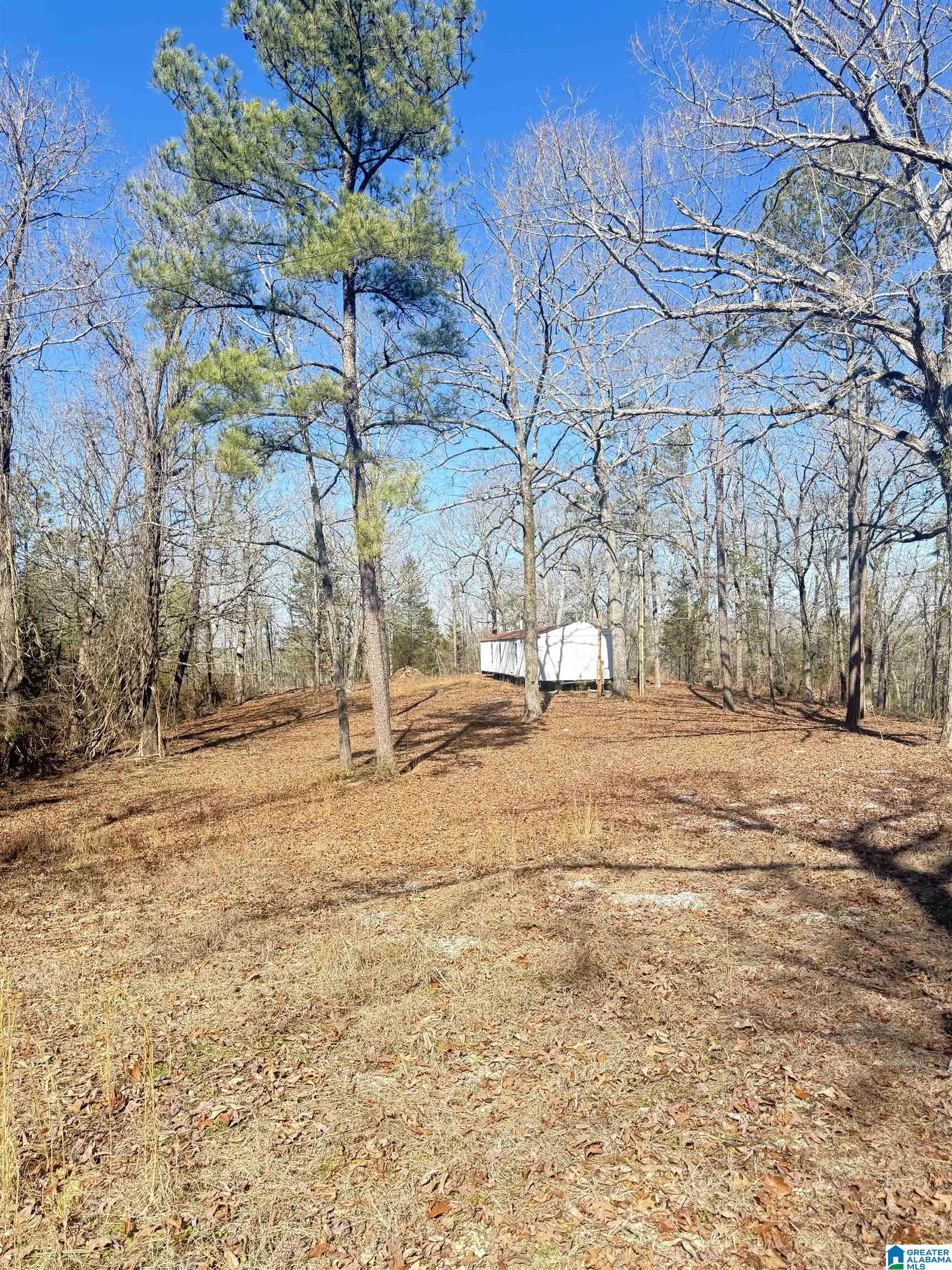 295 Country Lane Talladega, AL 35160 - Photo 11 of 42