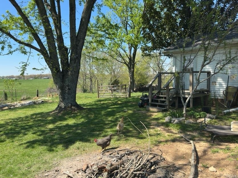 218 Meador Cemetery Road Cadiz, KY 42211 - Photo 49 of 58 Gallery Image 49