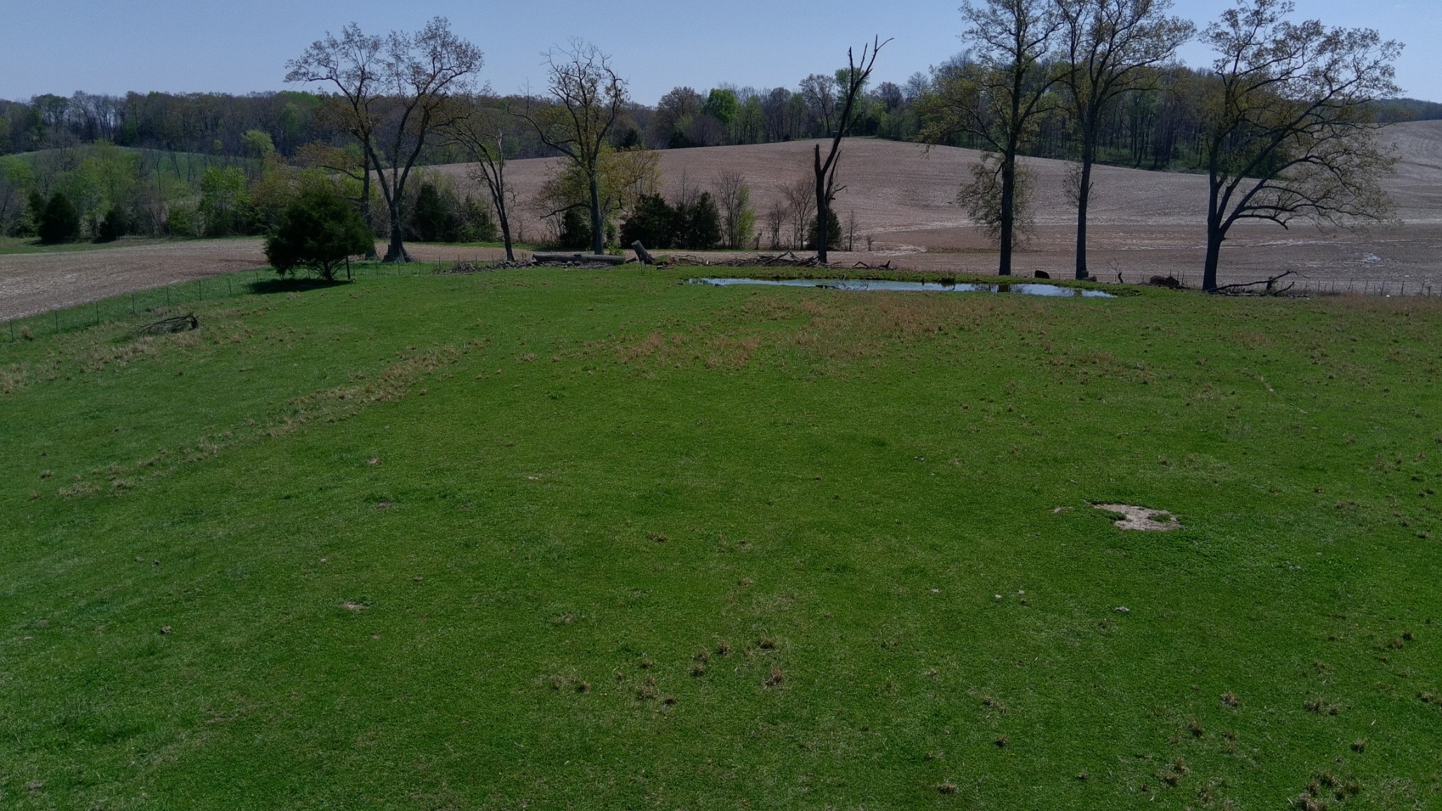 218 Meador Cemetery Road Cadiz, KY 42211 - Photo 55 of 58 Gallery Image 55