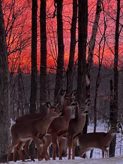 323 220th Avenue Cumberland, WI 54829 - Photo 31 of 33