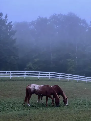 $449,900 | 323 220th Avenue, Cumberland, WI 54829