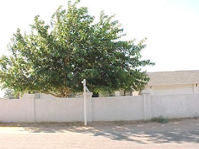 14770 Gayhead Road Apple Valley, CA 92307 - Photo 1 of 1 a view of a house with a tree