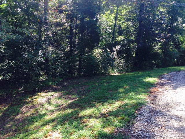 Lot Logsdons Lot Logsdons Landing Road Leitchfield, KY 42754 - Photo 1 of 8 Gallery Image 1